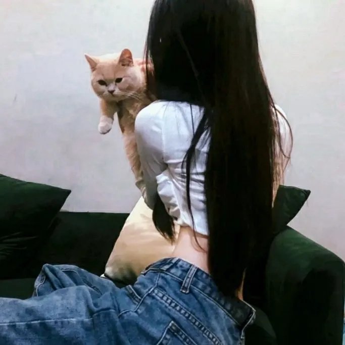孔雀王子